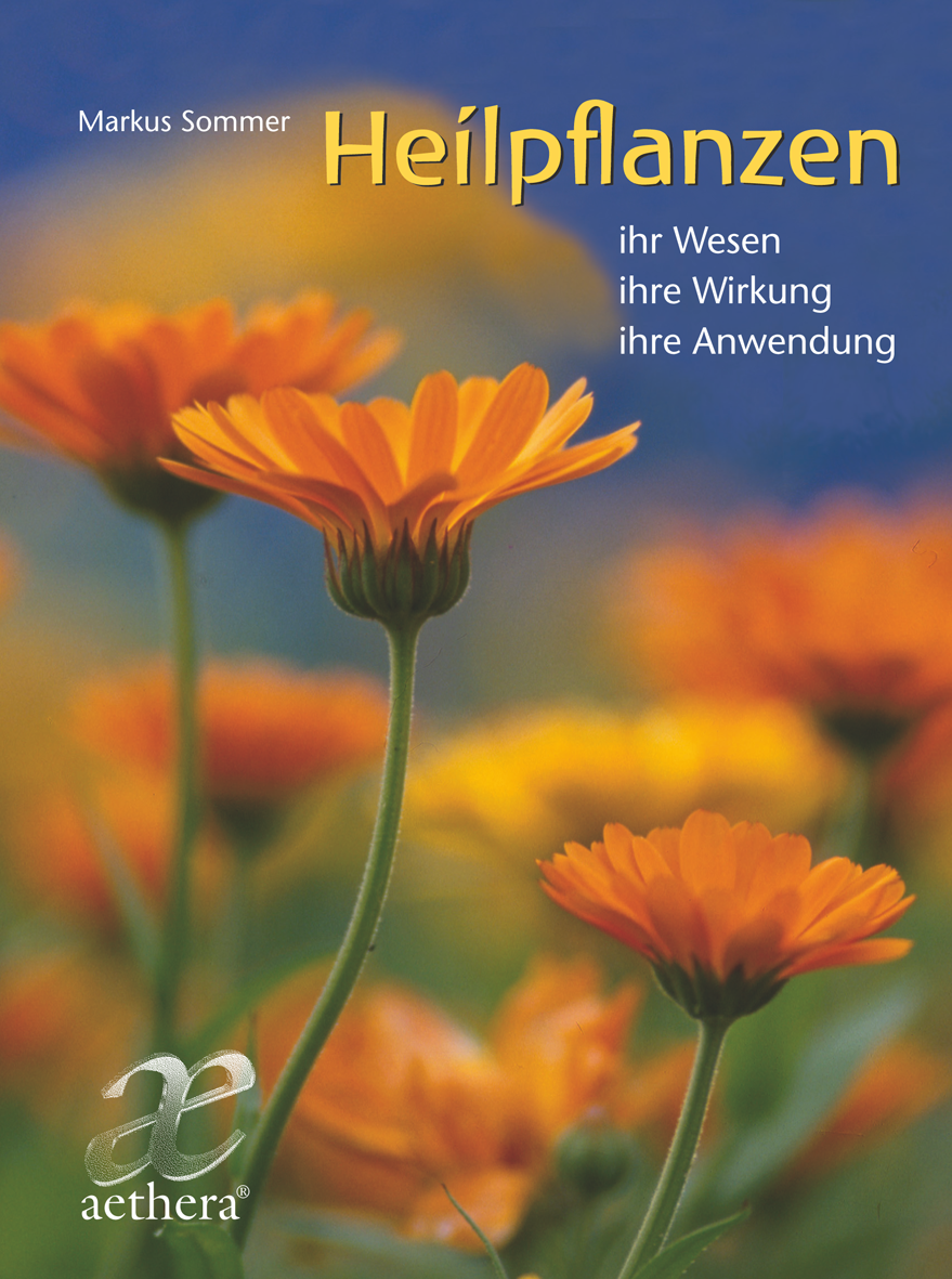 Heilpflanzen | gebundenes Buch