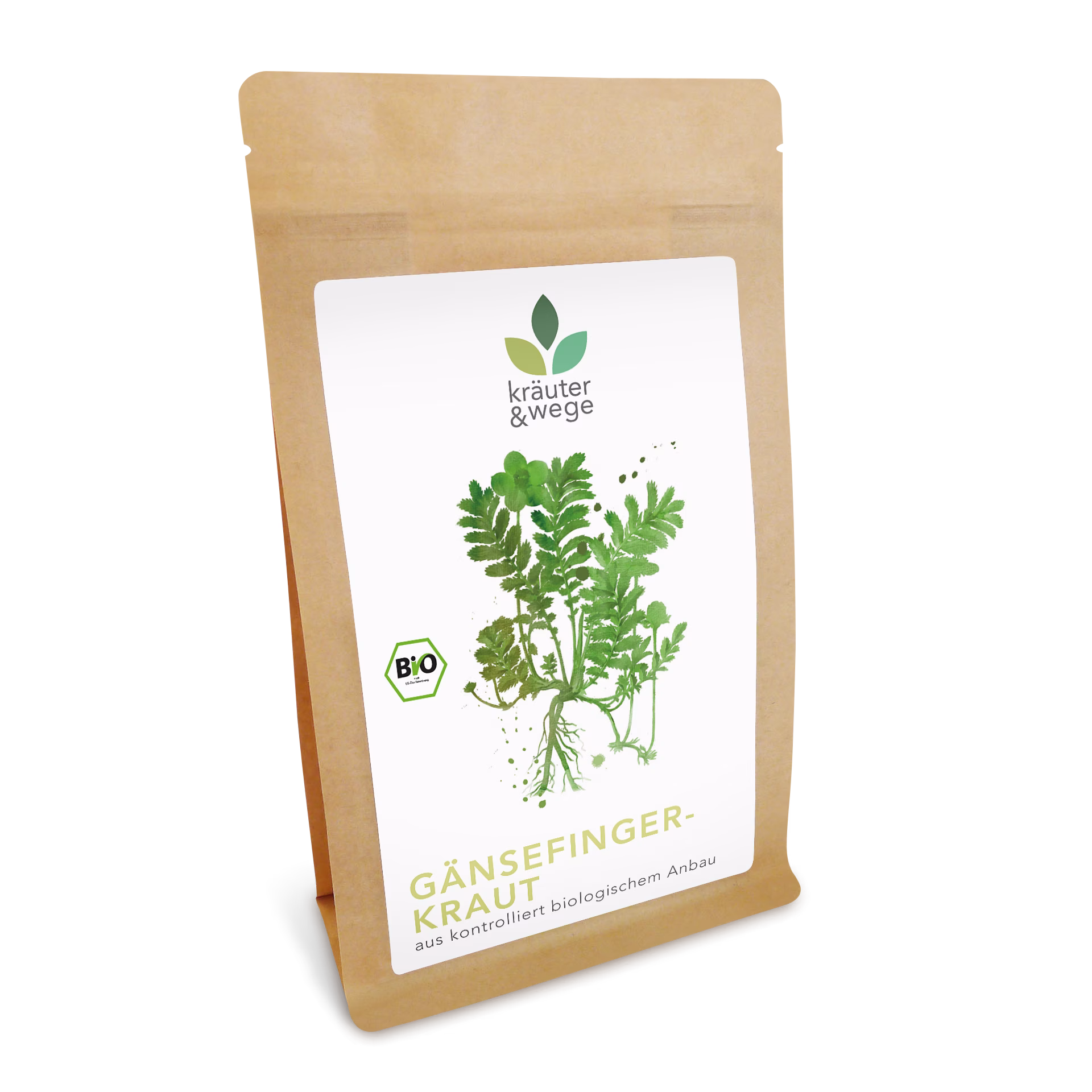 Bio Gänsefingerkraut Gänsefinger